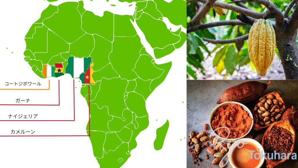 世界のカカオ生産の約7割を占める西アフリカ4か国の位置